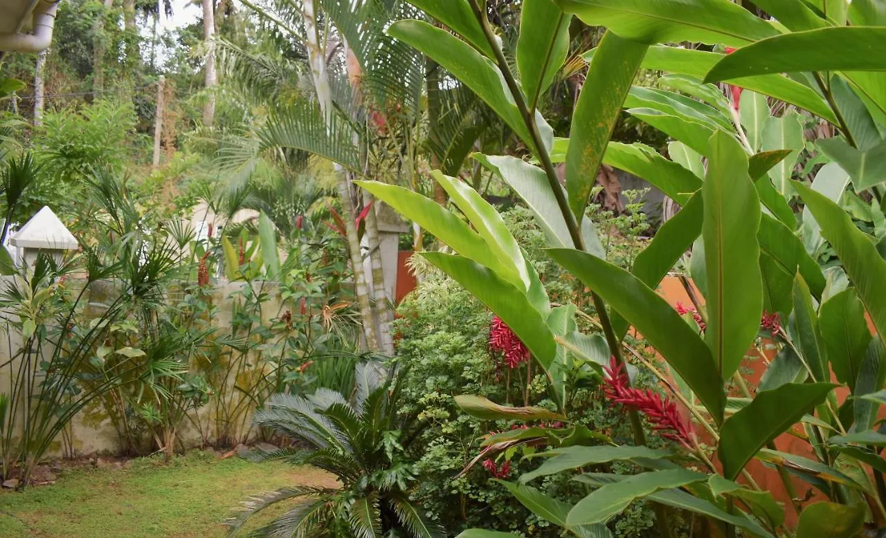 Sunbird Bungalow Anse Boileau