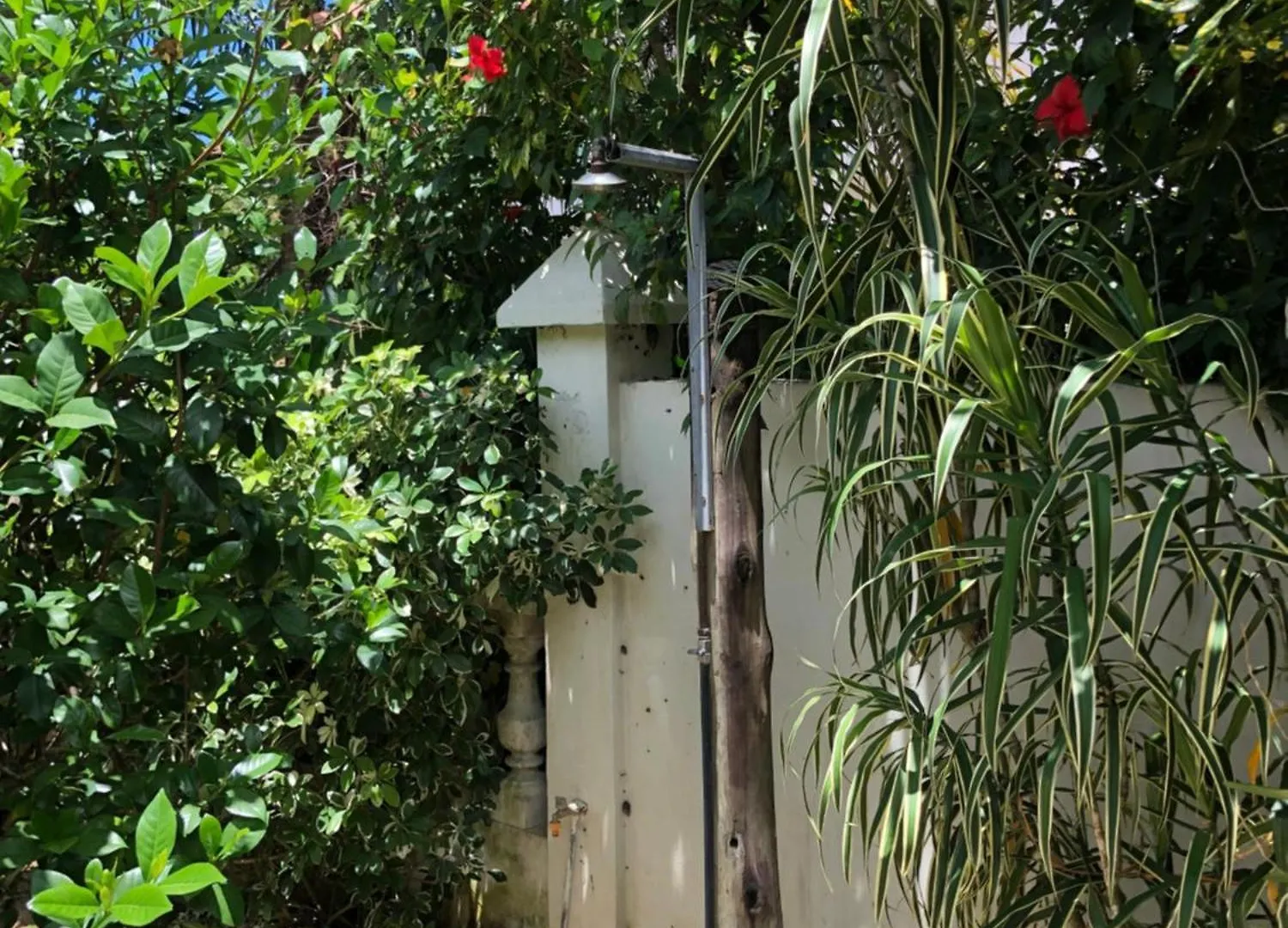 Chalet Sunbird Bungalow Anse Boileau